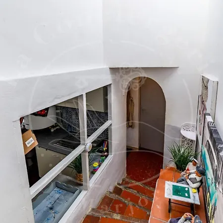 Duplex 